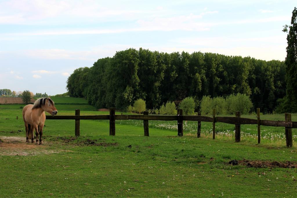 B&B Laurus Ypres Exterior photo